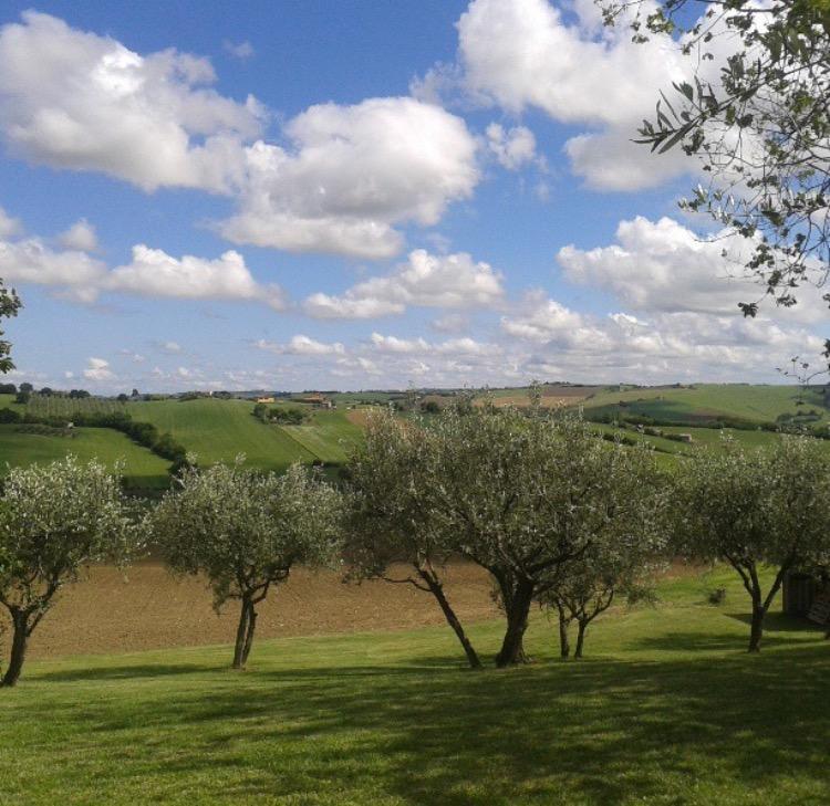 Casa Vacanze Via Marconi Marotta Exteriér fotografie